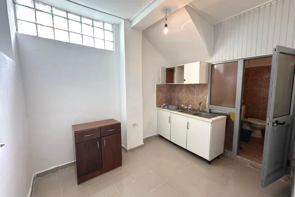 Luxury villas for rent in Tirana 1+1, In Part