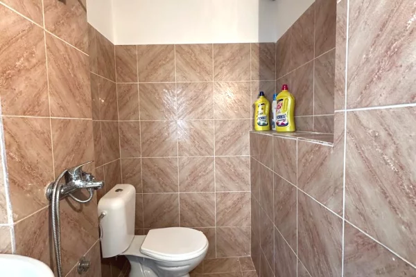 Luxury villas for rent in Tirana 1+1, In Part