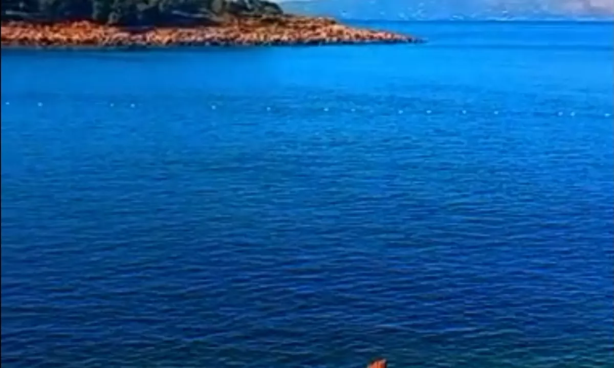 Foto 1