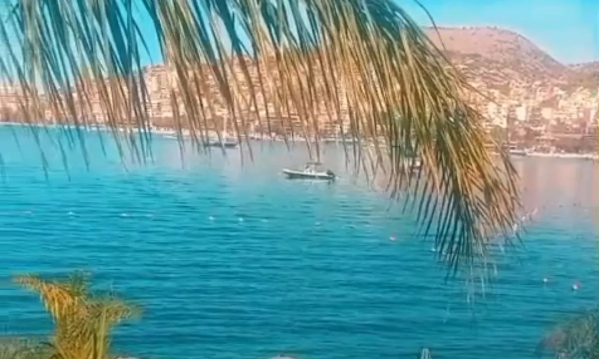 Foto 2