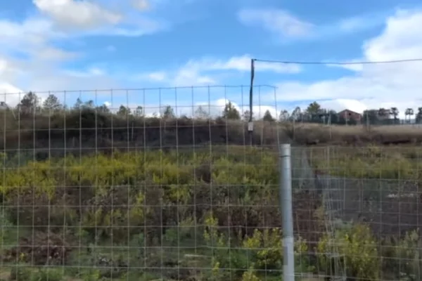 Truall ose Toke ne Tirane - 160,000 Euro