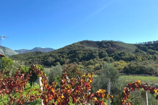 Shtepi ne shitje 2+1 ne Sarande - 180,000 Euro