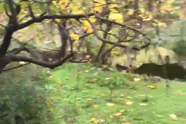 Casa in vendita 2+1 a Tirana - 130,000 Euro