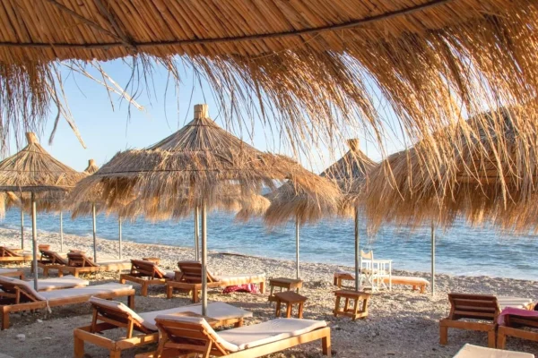 Truall ose Toke  ne Vlore - 480,000 Euro