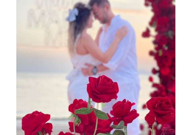 Holiday arrangements  in Tirana - 0 
