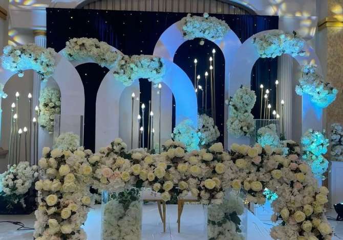 Holiday arrangements  in Fier - 0 