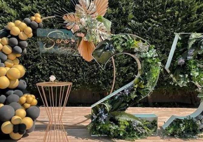 Holiday arrangements  in Elbasan - 0 
