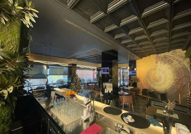 Ambient biznesi me qera 2+1 ne Tirane - 1,800 Euro