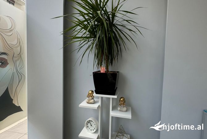 Ambient biznesi ne shitje 1+1 ne Tirane - 112,000 Euro