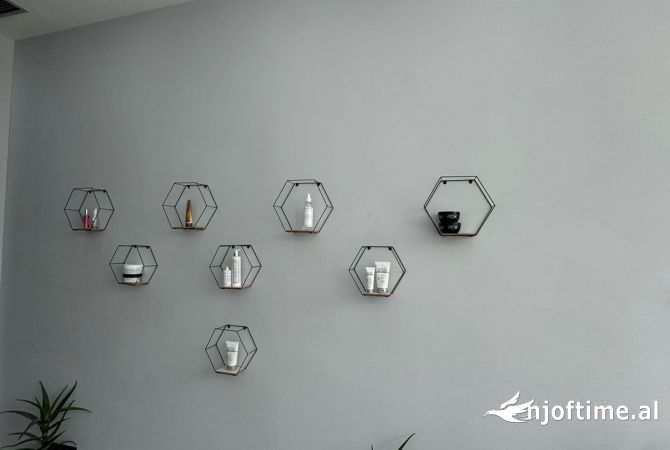 Ambient biznesi ne shitje 1+1 ne Tirane - 112,000 Euro