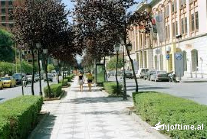 Shtepi ne shitje 1+1 ne Tirane - 107,000 Euro