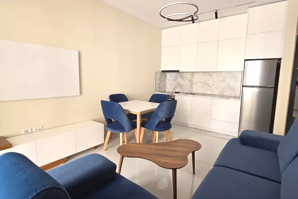 House for Rent 1+1 in Tirana - 40,000 Leke