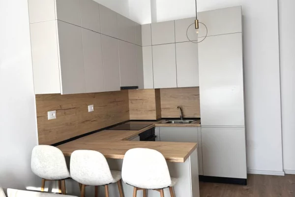 Shtepi me qera 1+1 ne Tirane - 45,000 Leke