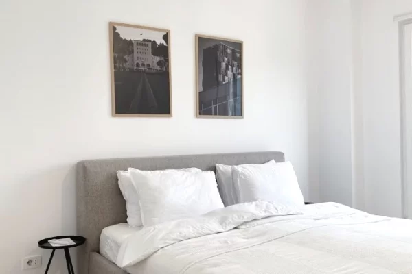 Shtepi me qera Apartament ne Tirane, 1+1, Mobilimi E mobiluar, Pagesa 900  Euro.