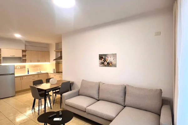 Shtepi me qera 1+1 ne Tirane - 50,000 Leke