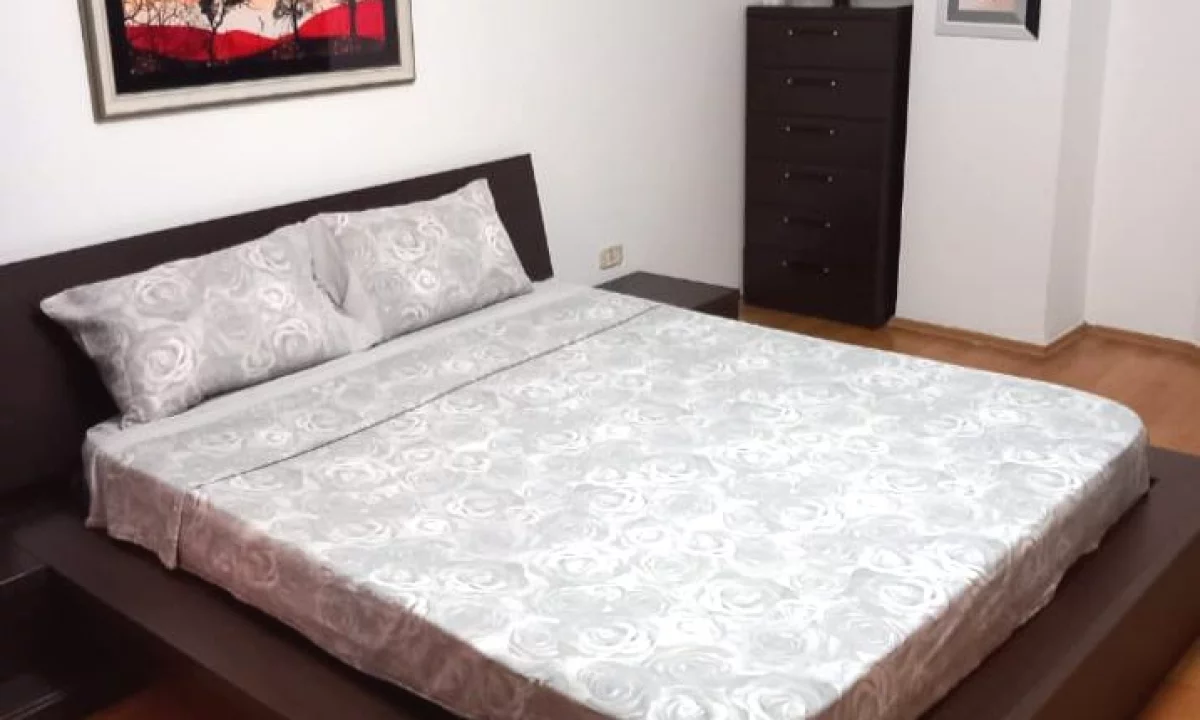 Shtepi me qera Apartament ne Tirane, 1+1, Mobilimi E mobiluar, Pagesa 55,000  Leke.