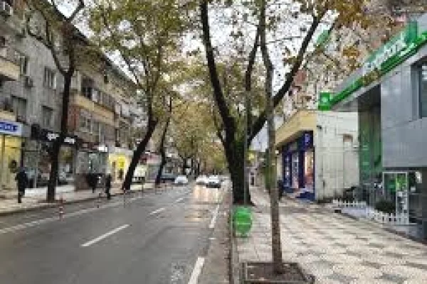 Business Property for Rent 3+1 in Tirana - 5,200 Euro