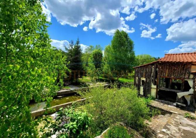 Truall ose Toke  ne Korce - 140,000 Euro