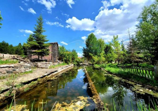 Truall ose Toke  ne Korce - 140,000 Euro