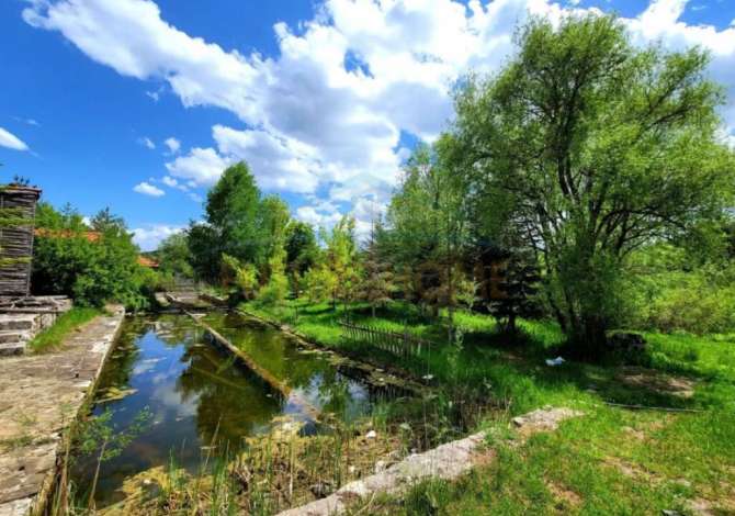Truall ose Toke  ne Korce - 140,000 Euro