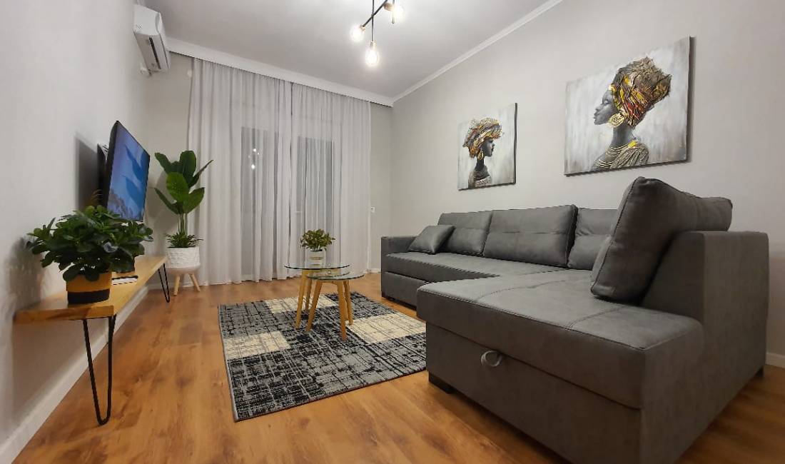 Shtepi me qera Apartament ne Tirane, 1+1, Mobilimi E mobiluar, Pagesa 550  Euro.