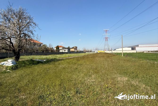 Truall ose Toke  ne Tirane - 275,000 Euro