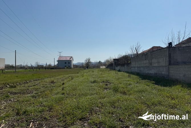 Truall ose Toke  ne Tirane - 275,000 Euro