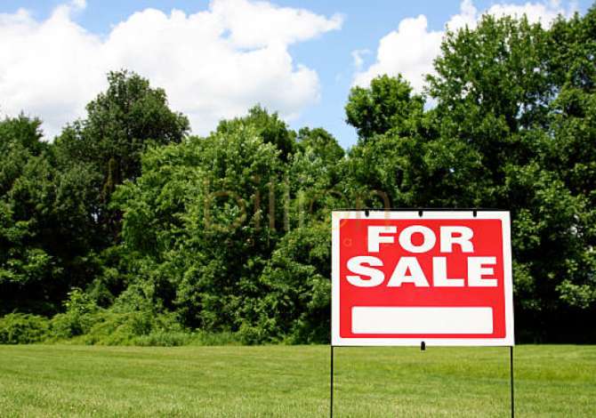 Truall ose Toke  ne Pogradec - 1,000,000 Euro