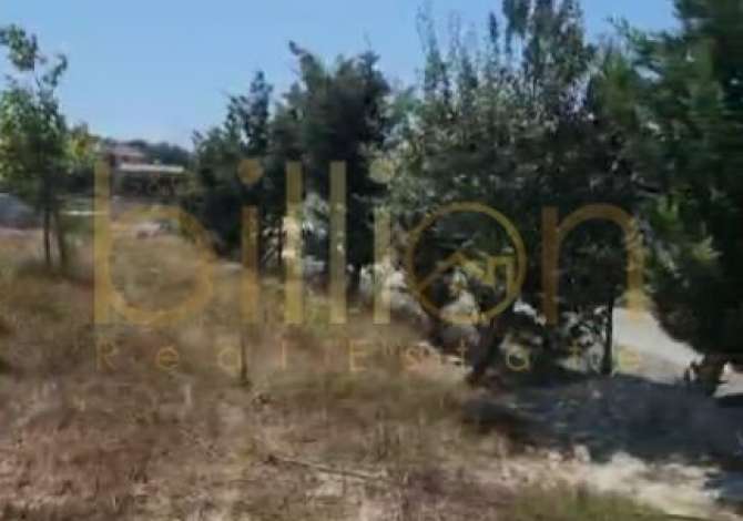 Terreno in vendita  a Kavaja - 110,000 Euro