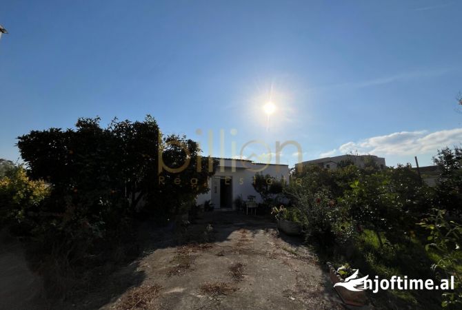 Truall ose Toke ne Tirane - 213,000 Euro
