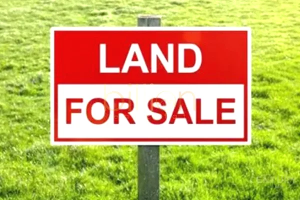 Truall ose Toke ne Tirane - 90,000 Euro