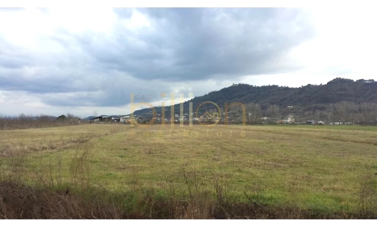 SHITET TOKE NE FUSHE PREZE. 220.000 EURO. Billion4605​