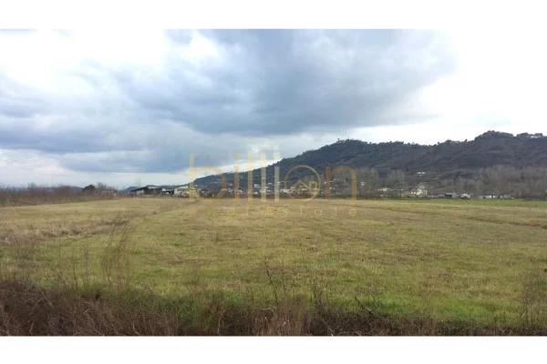 Truall ose Toke  ne Tirane - 220,000 Euro