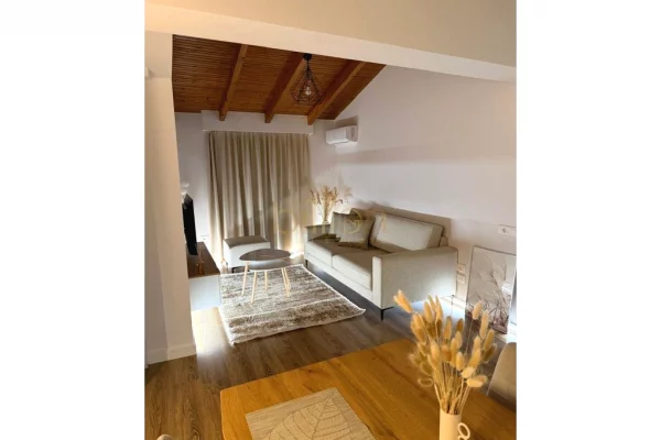 Apartment for rent in Tirana 1+1, Furnished