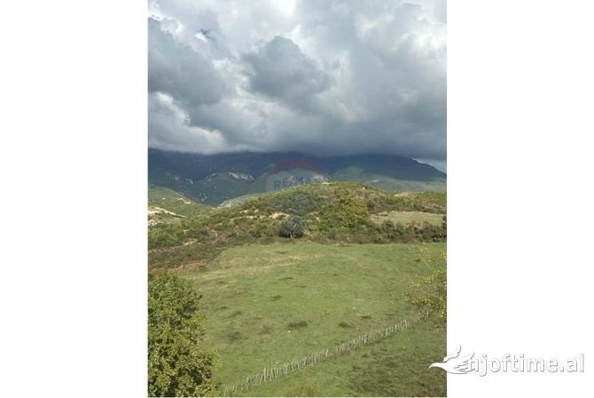 Truall ose Toke ne Tirane - 775,000 Euro