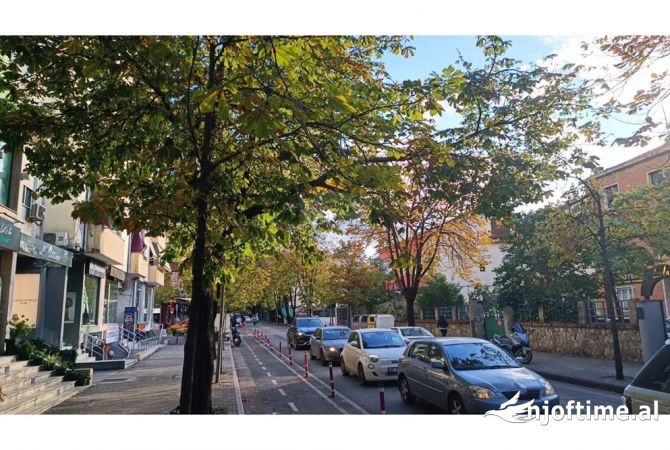 Ambient biznesi me qera 1+1 ne Tirane - 3,000 Euro