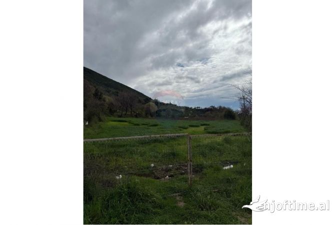 Truall ose Toke  ne Tirane - 200,000 Euro