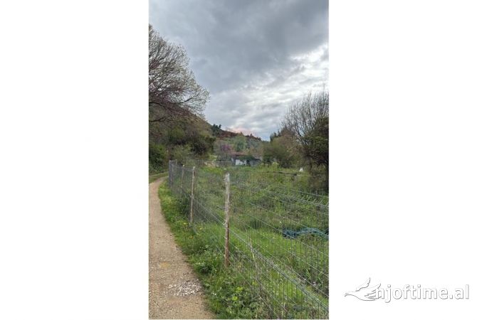 Truall ose Toke  ne Tirane - 200,000 Euro