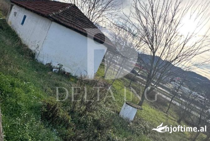 Truall ose Toke  ne Tirane - 230,000 Euro