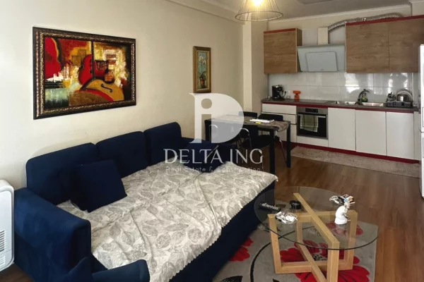 House for Rent 1+1 in Tirana - 500 Euro