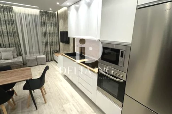 Apartment for rent in Tirana 1+1, Furnished