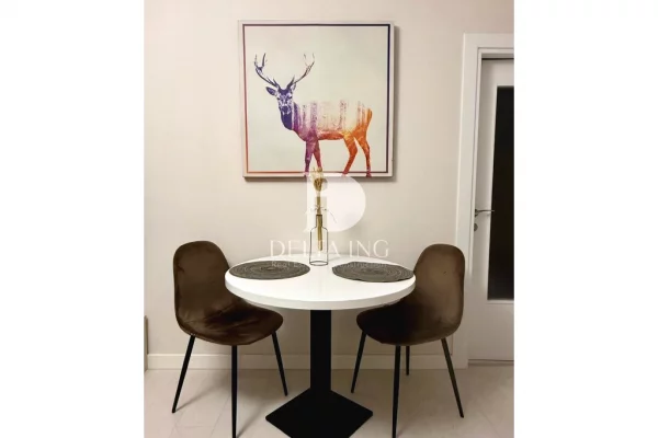 Shtepi ne shitje Apartament ne Tirane, 1+1, Mobilimi E mobiluar, Pagesa 130,000  Euro.