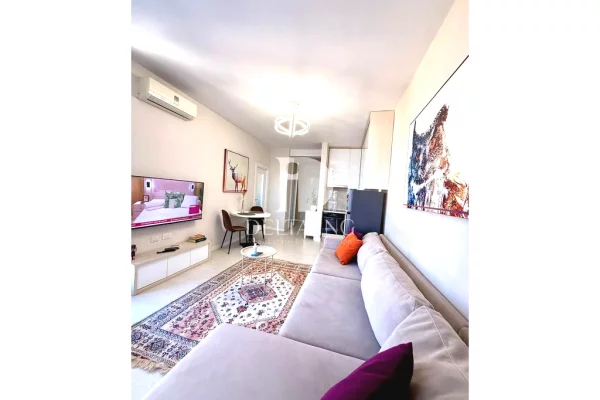 Shtepi ne shitje Apartament ne Tirane, 1+1, Mobilimi E mobiluar, Pagesa 130,000  Euro.