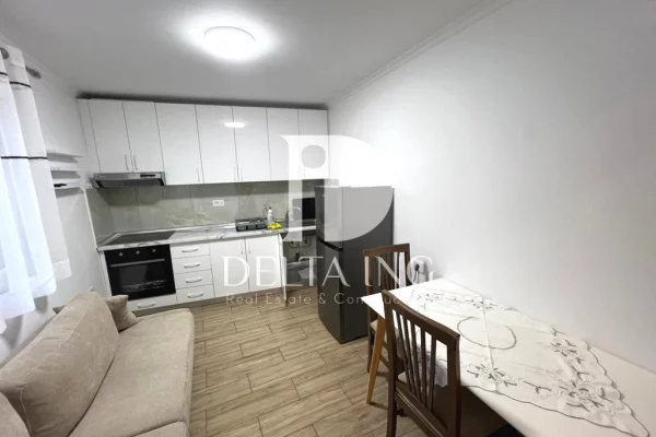 Shtepi me qera Apartament ne Tirane, 1+1, Mobilimi E mobiluar, Pagesa 60,000  Leke.