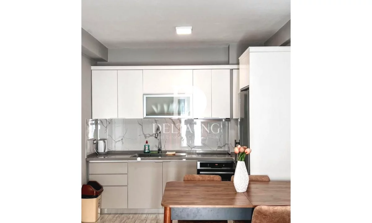 Shtepi me qera Apartament ne Tirane, 1+1, Mobilimi E mobiluar, Pagesa 55,000  Leke.