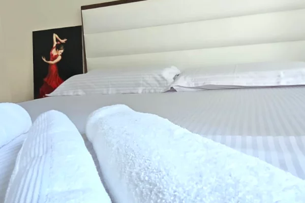 Apartment for rent in Tirana 1+1, Furnished