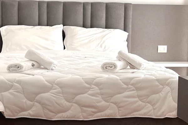 Shtepi me qera Apartament ne Tirane, 2+1, Mobilimi E mobiluar, Pagesa 1,200  Euro.