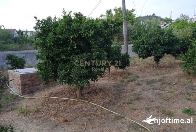 Terreno in vendita  a Lushnja - 168,000 Euro