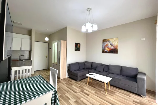 Shtepi me qera Apartament ne Tirane, 1+1, Mobilimi E mobiluar, Pagesa 600  Euro.