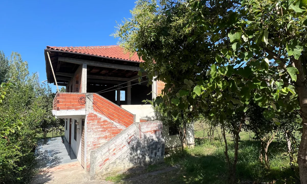 Foto 5